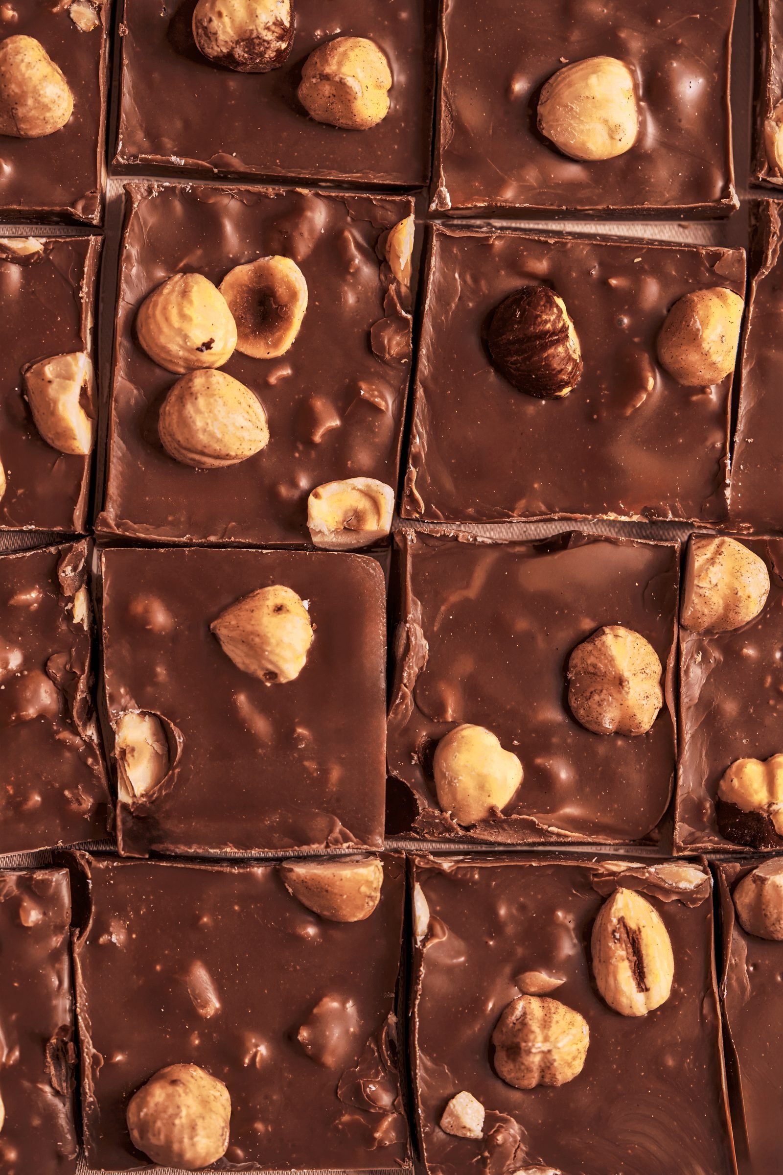 Close-up grid of chocolate squares studded with whole hazelnuts