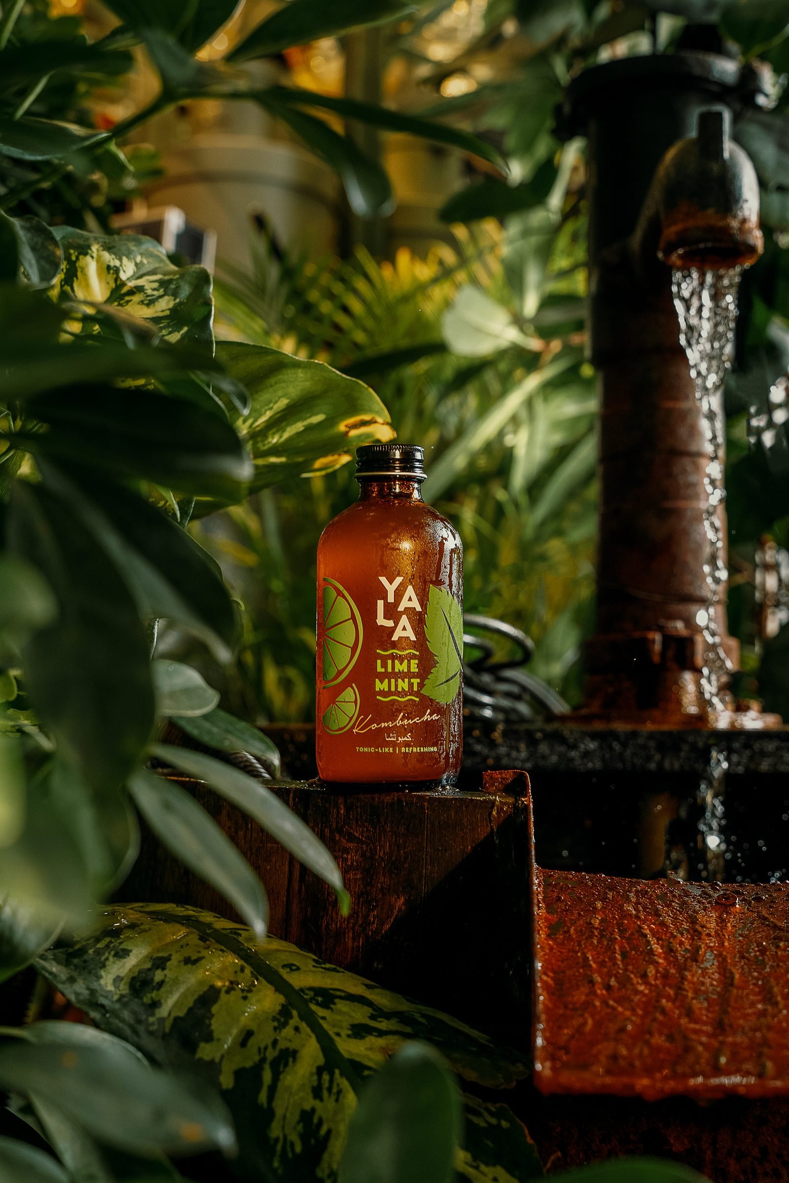 Bottle of lime and mint kombucha on a stone fountain surrounded by tropical leaves