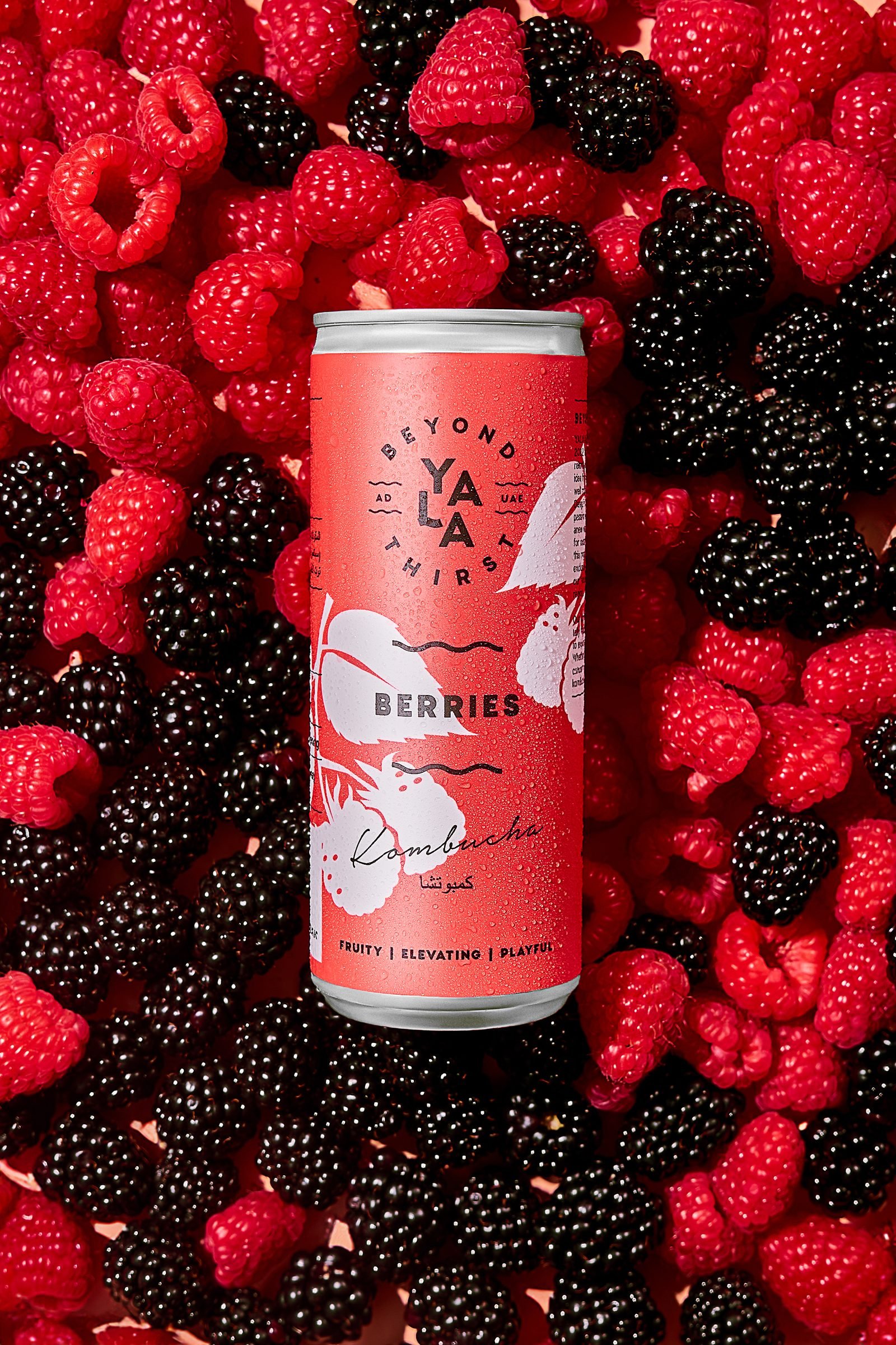 Can of berry kombucha lying on a bed of raspberries and blackberries